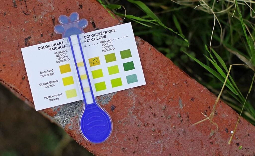 Dog urine test strip on a brick outside with color analysis chart